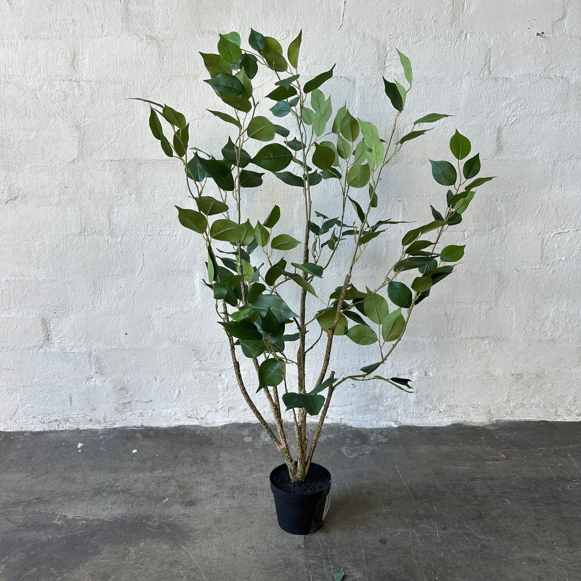 Artificial Light Ficus Tree | 90cm