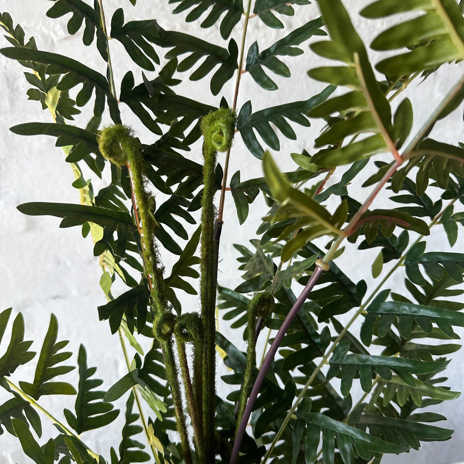 Artificial Gala Fern