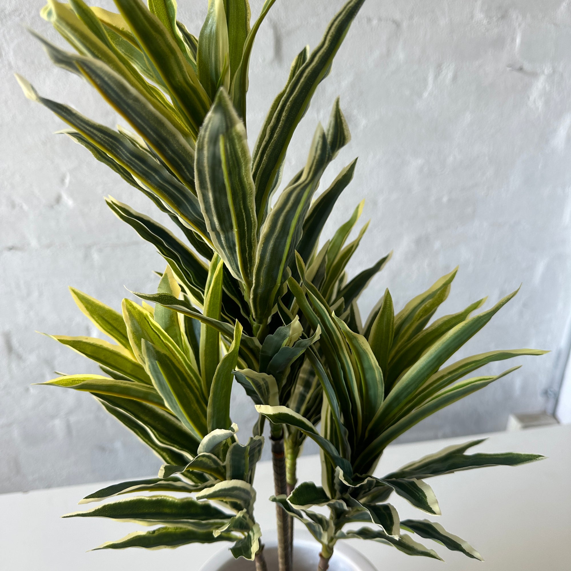 Artificial Yellow Dracaena