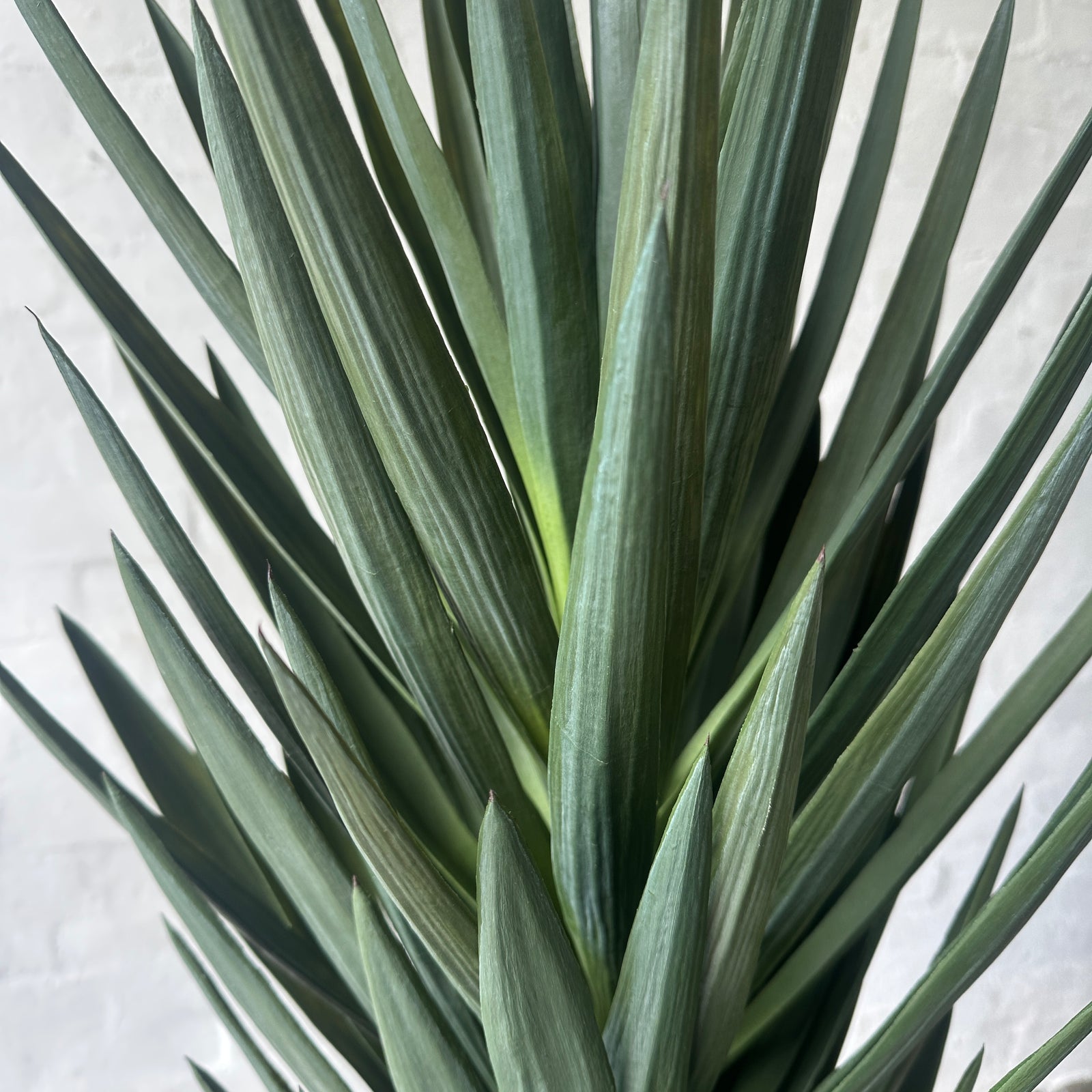 Artificial Desert Yucca