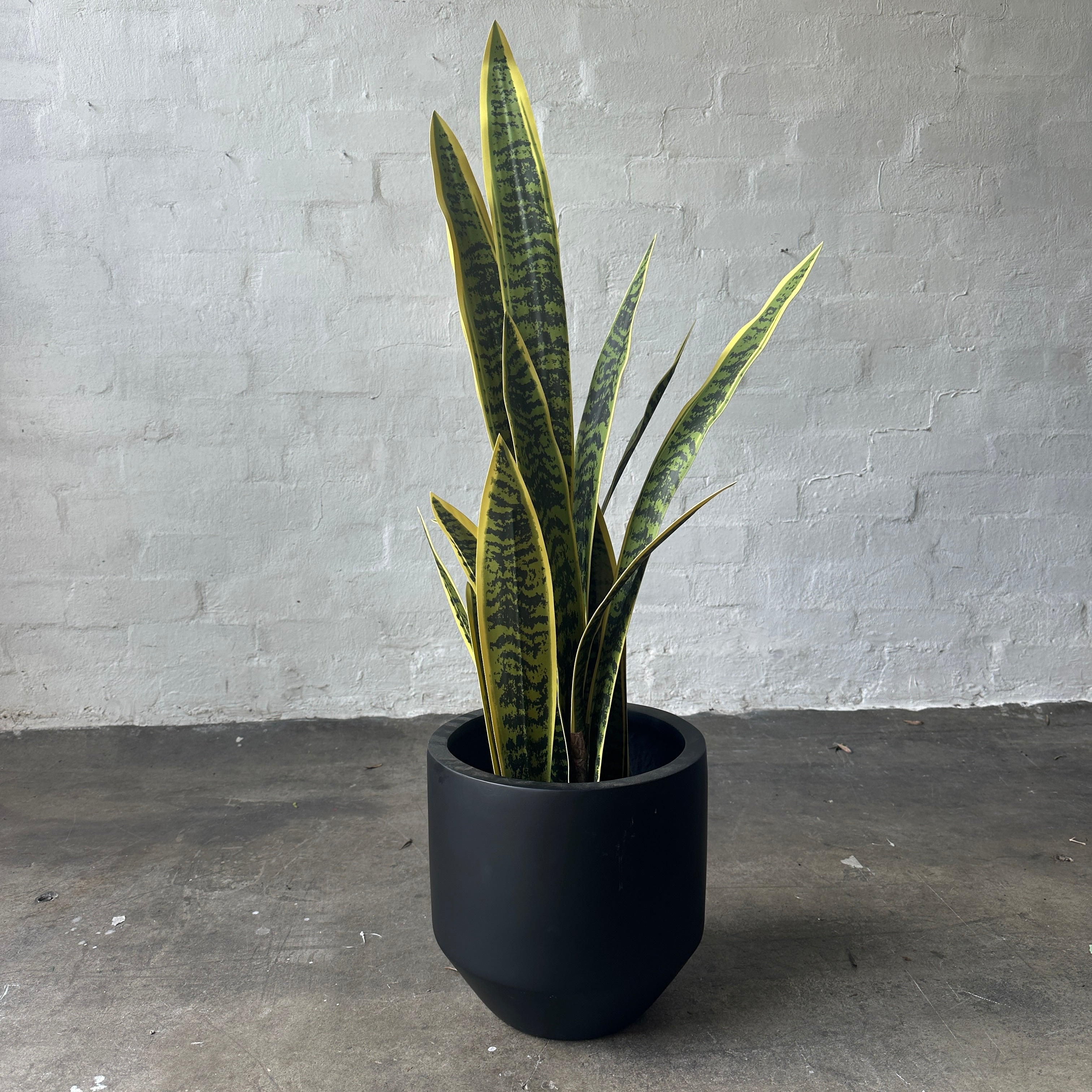 artificial snake plant australia Artificial Large Sansevieria