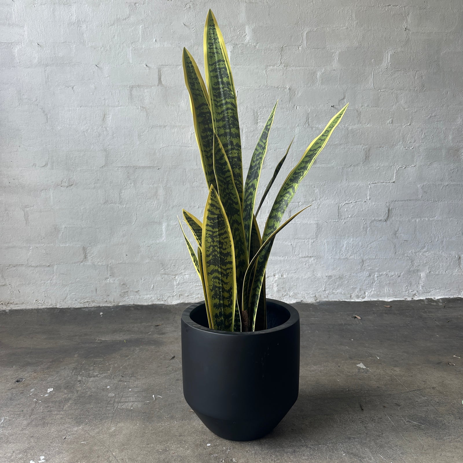 Artificial Large Sansevieria