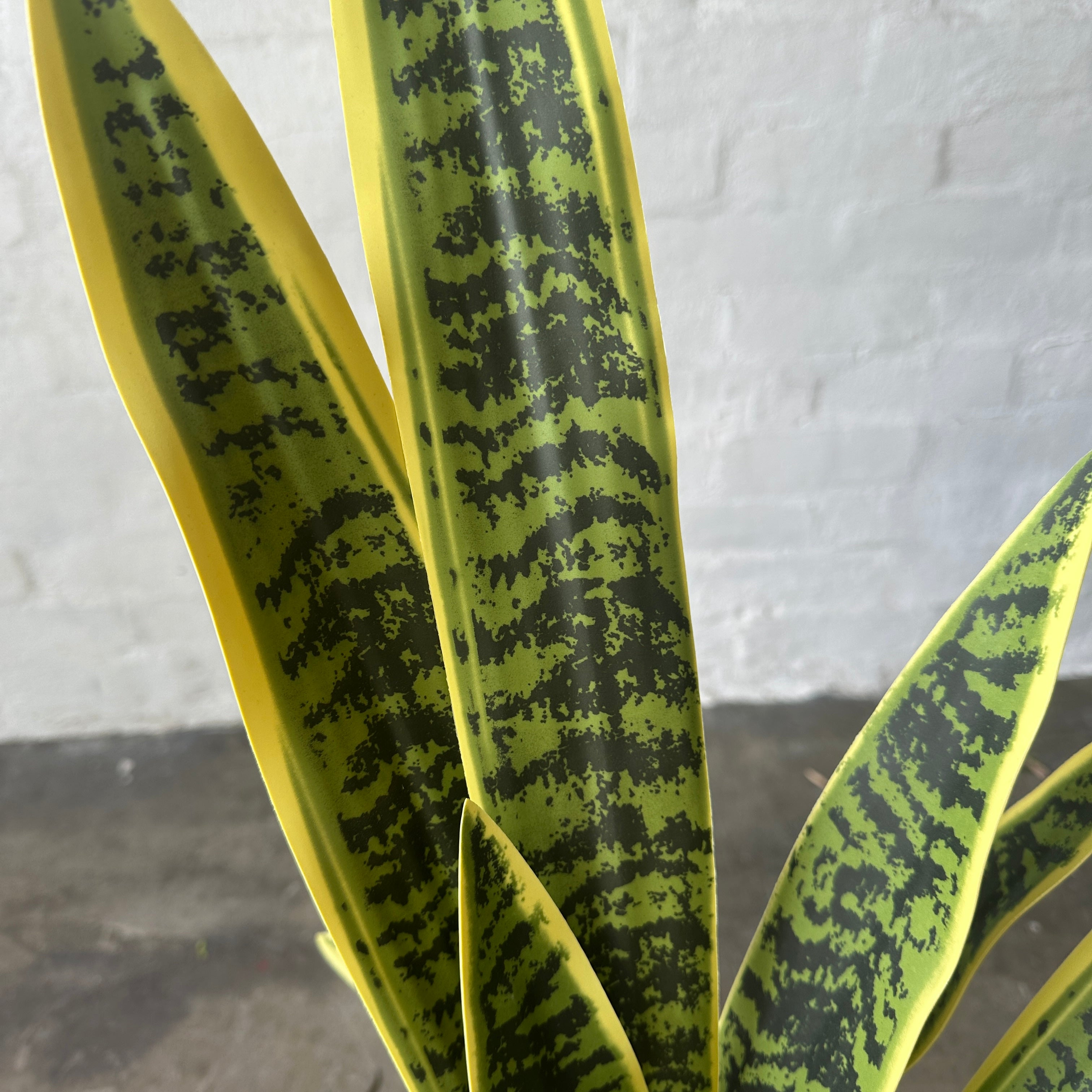 artificial snake plant australia Artificial Large Sansevieria