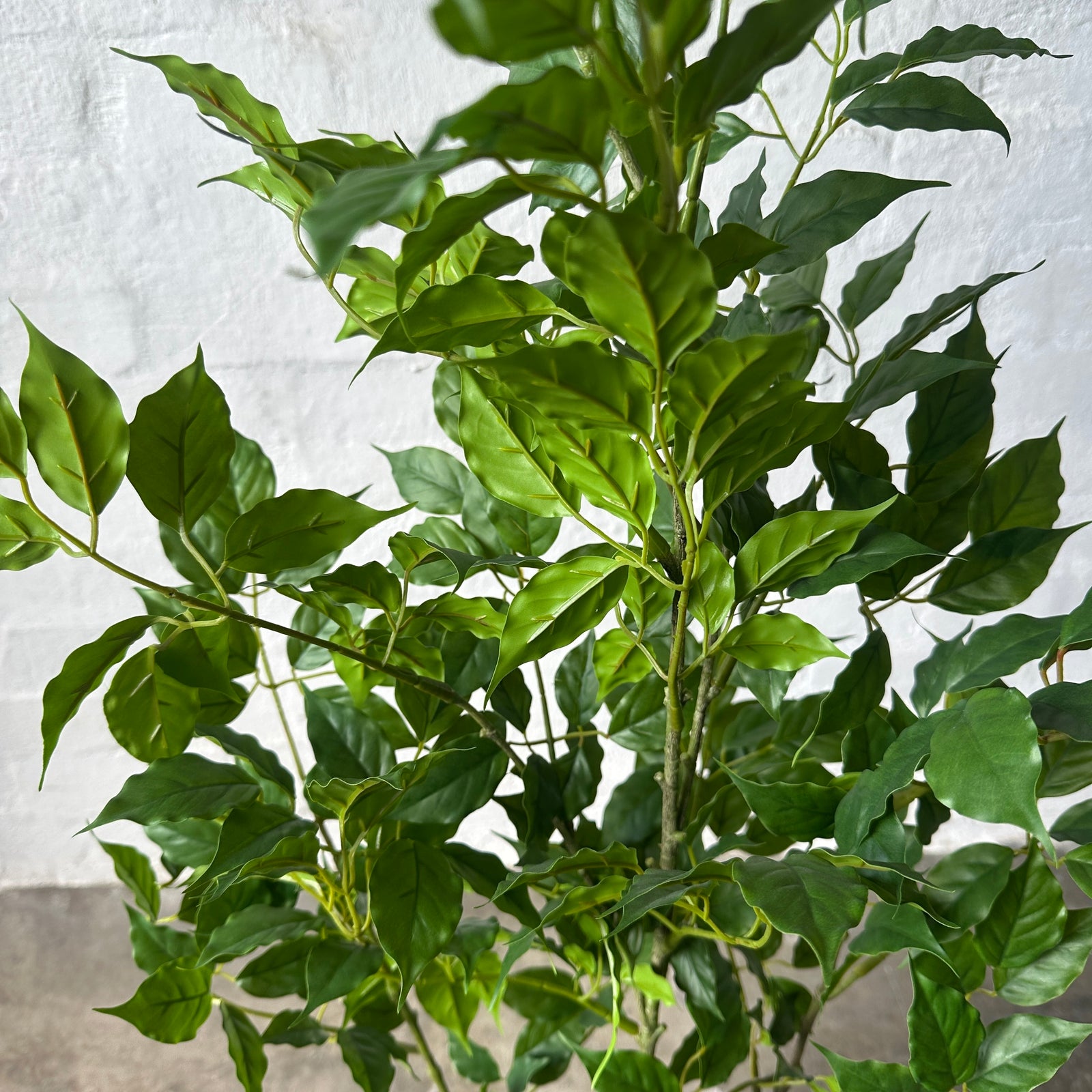 Artificial Light Ficus Tree | 120cm