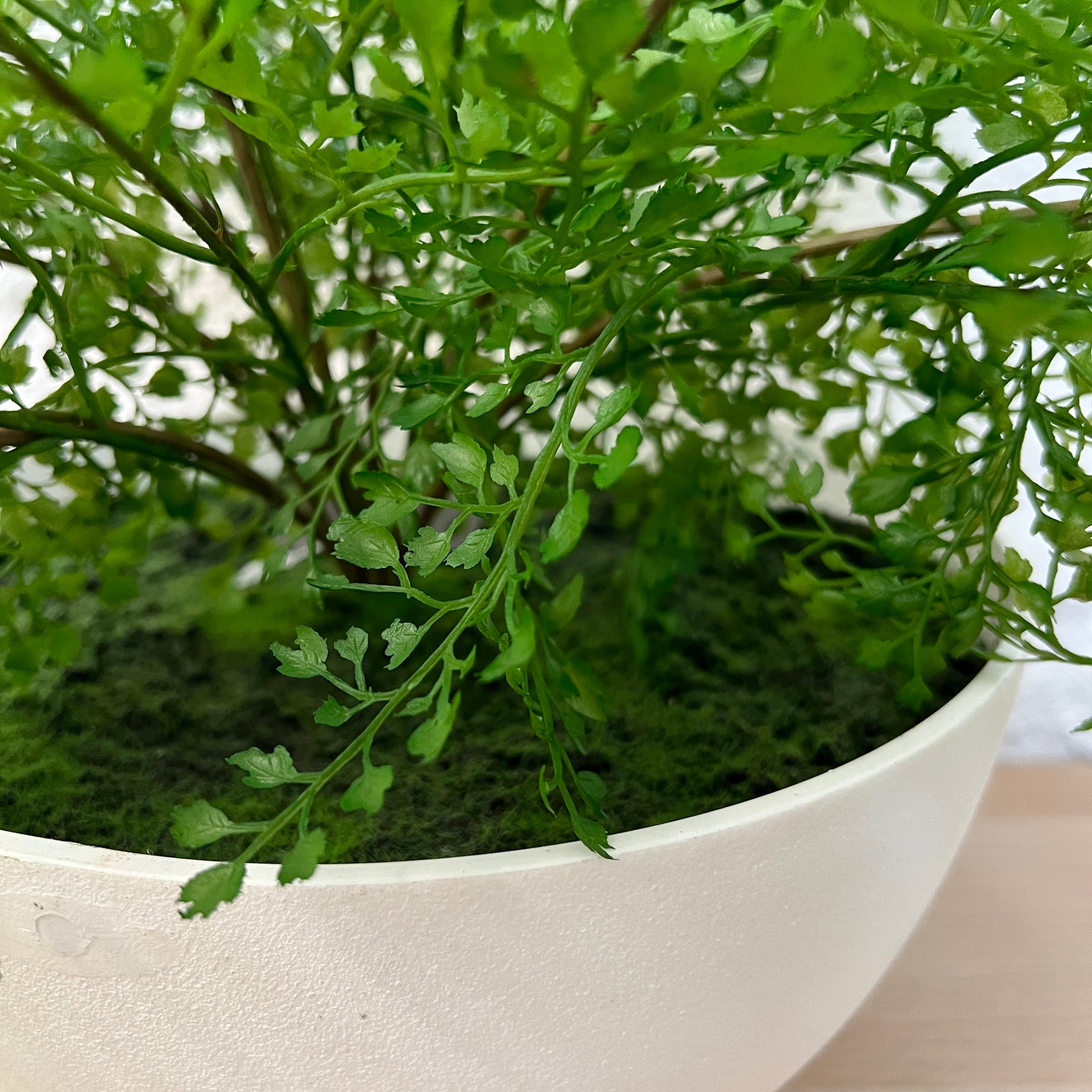 Artificial Fern in Bowl