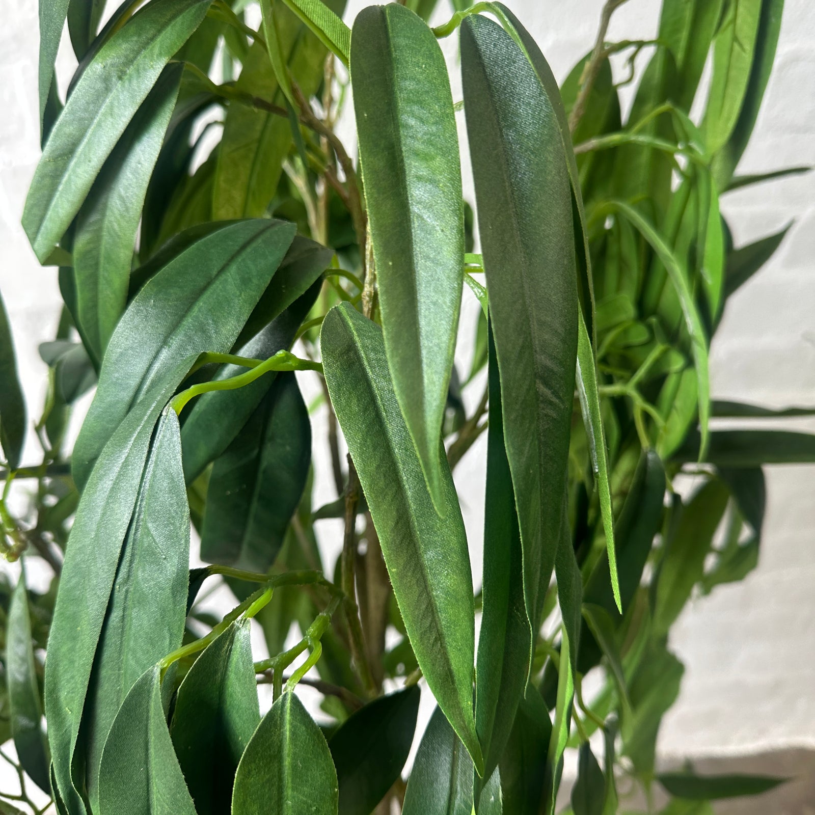 Artificial Ficus Alli Tree