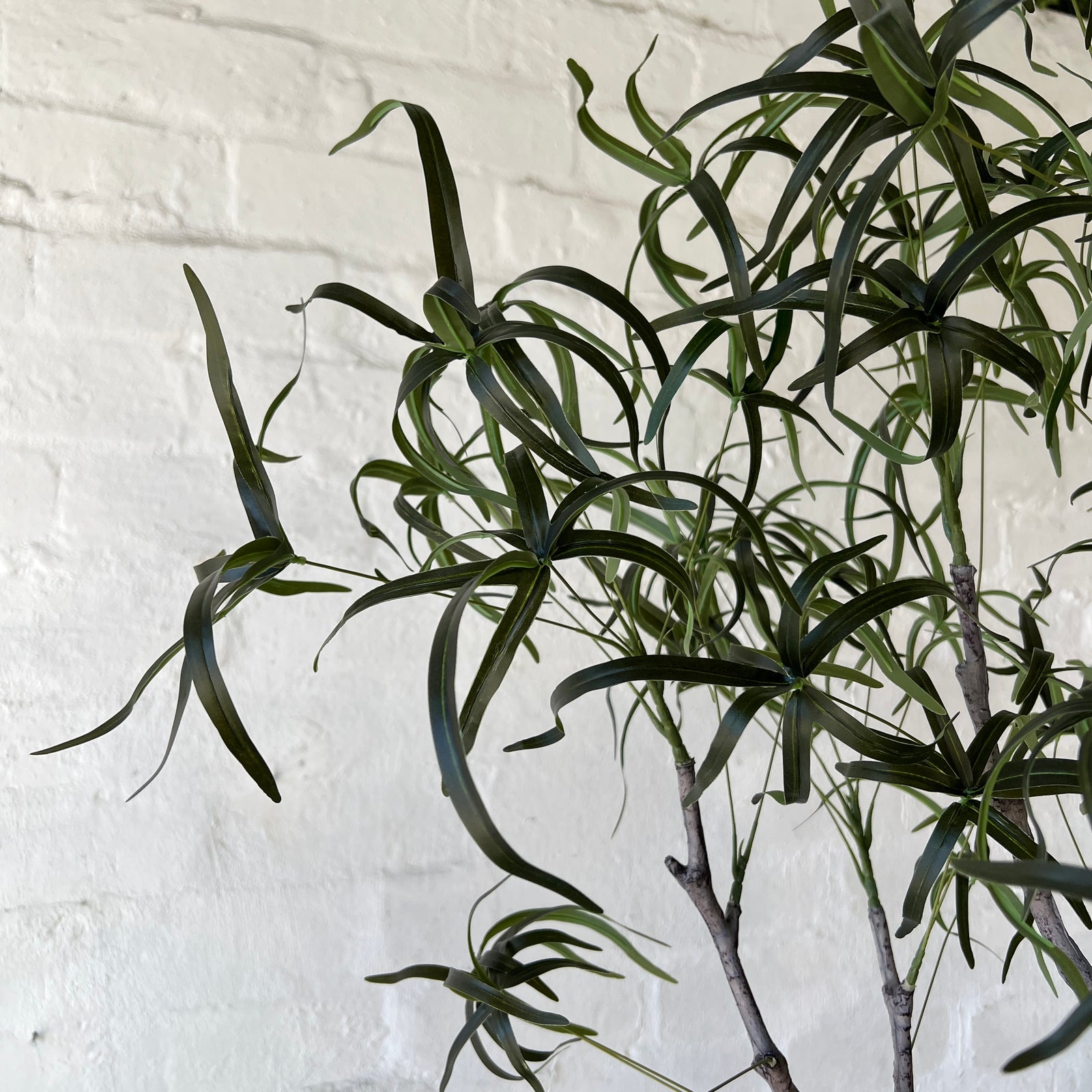 Artificial Queensland Bottle Tree