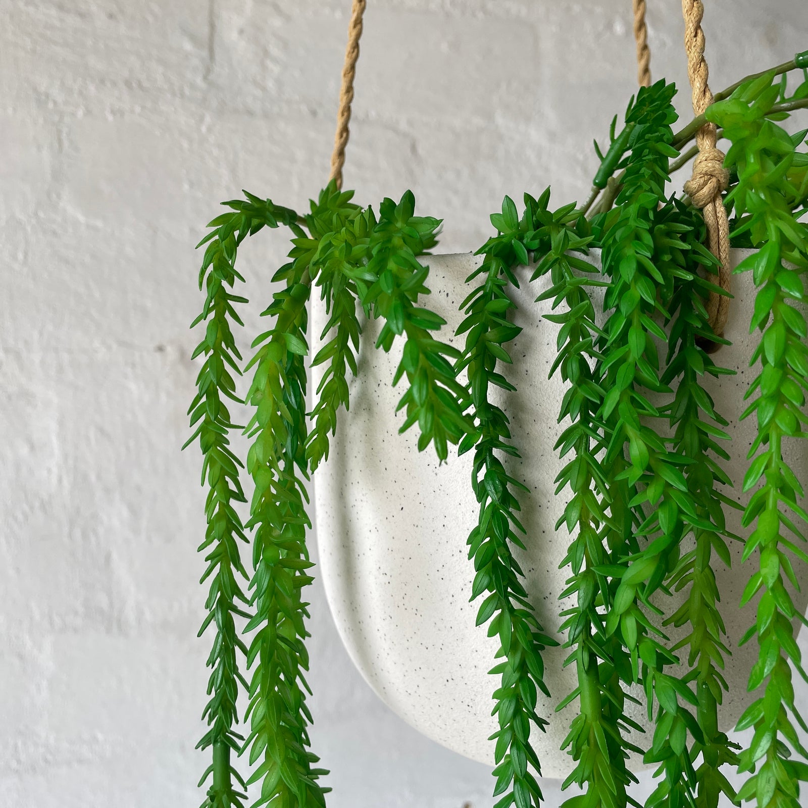 Artificial Creeping Vine