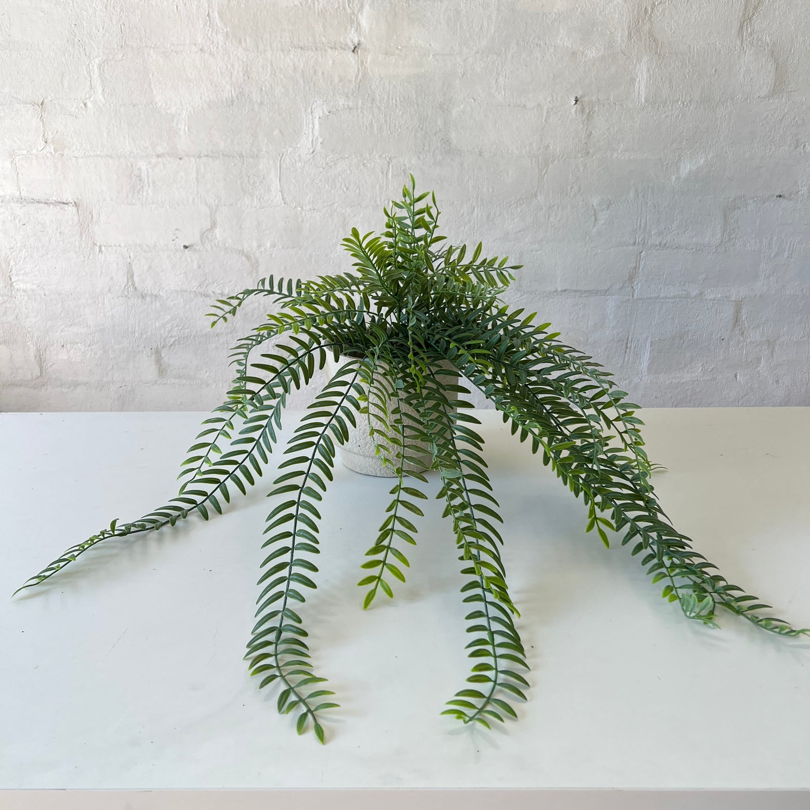 Artificial Columnea Plant