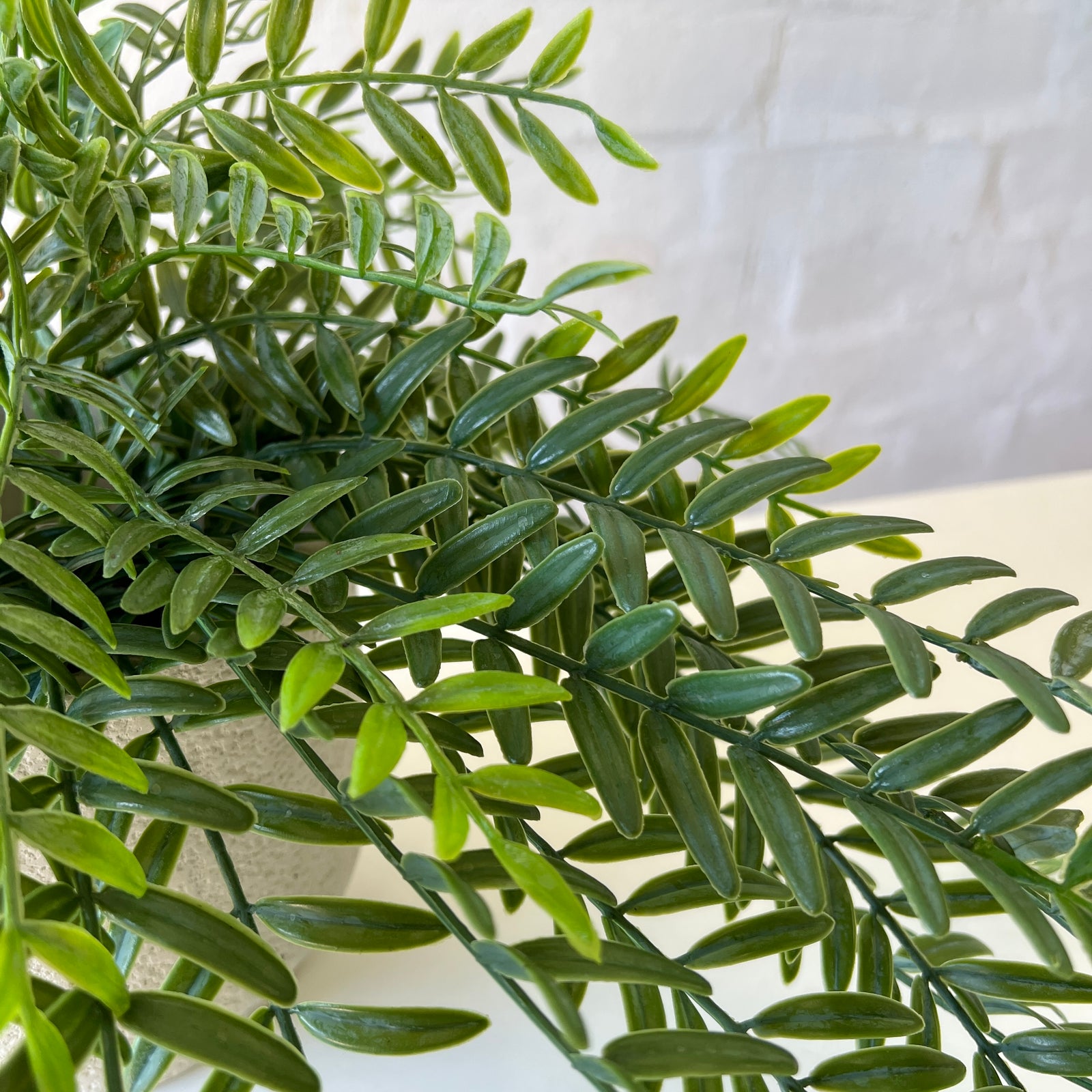 Artificial Columnea Plant