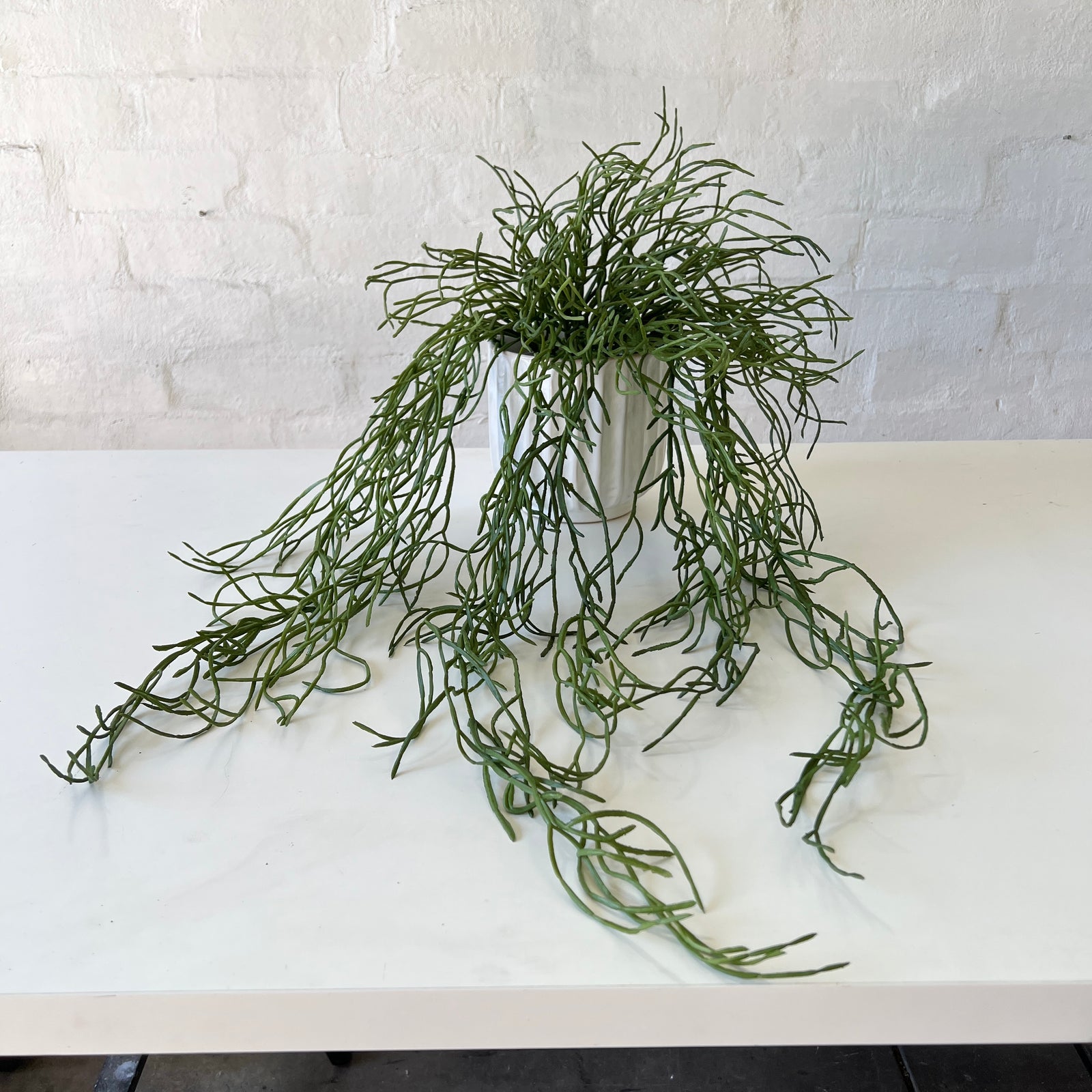 Artificial Rhipsalis Plant