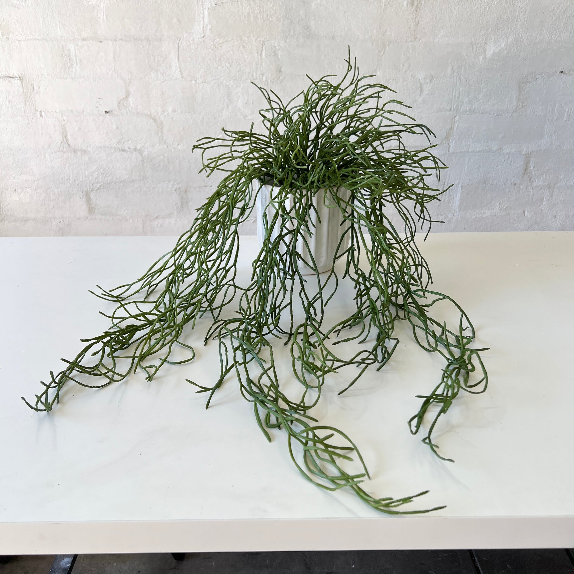 Artificial Rhipsalis Plant