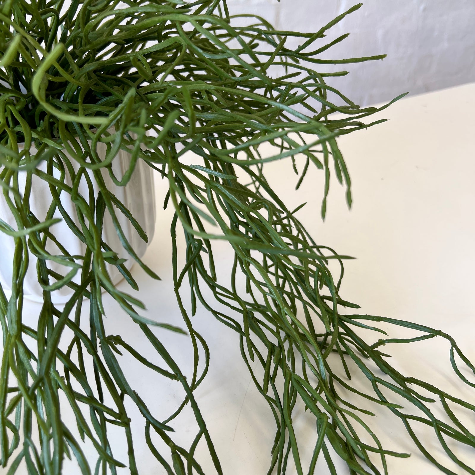 Artificial Rhipsalis Plant