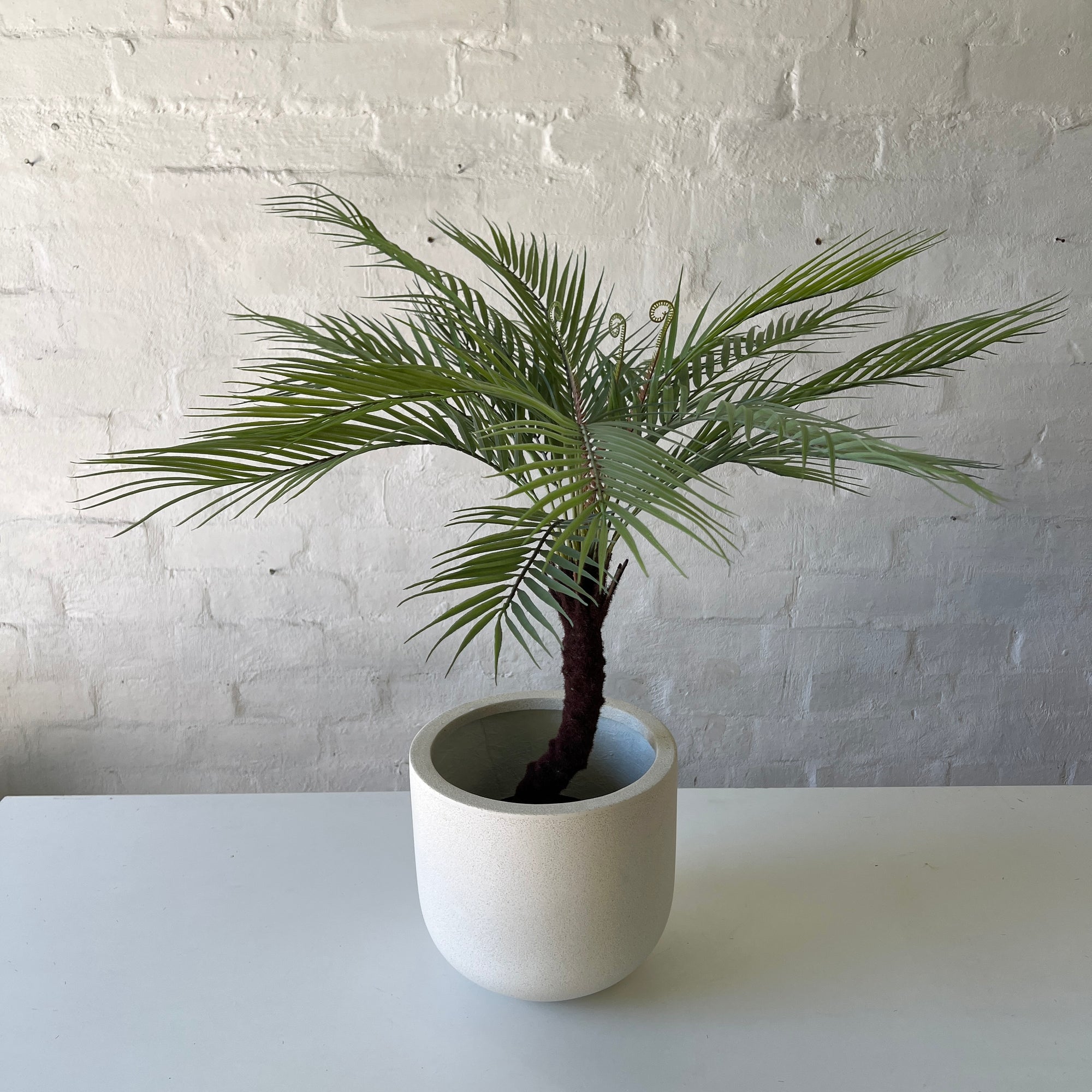 Artificial Oasis Palm