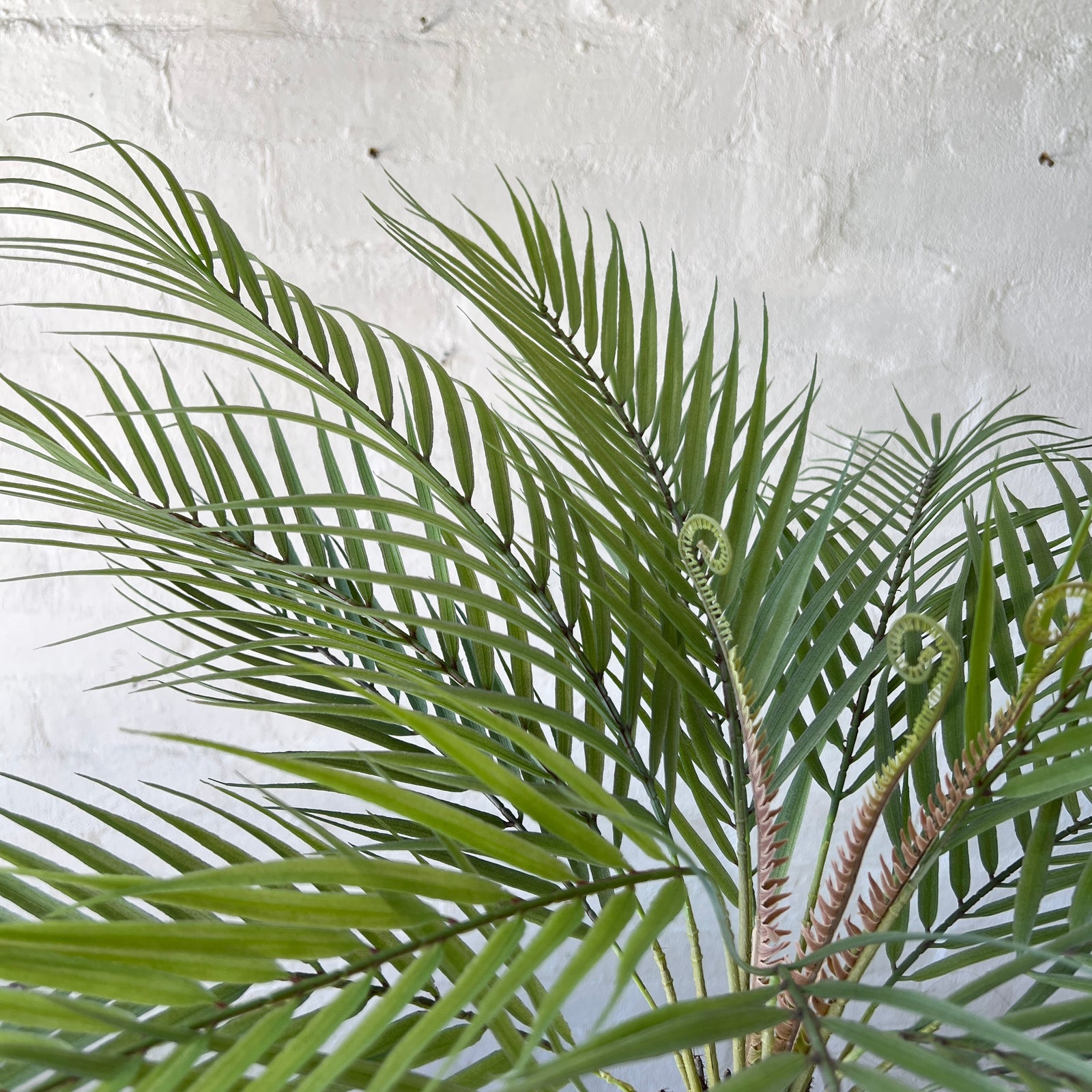 Artificial Oasis Palm