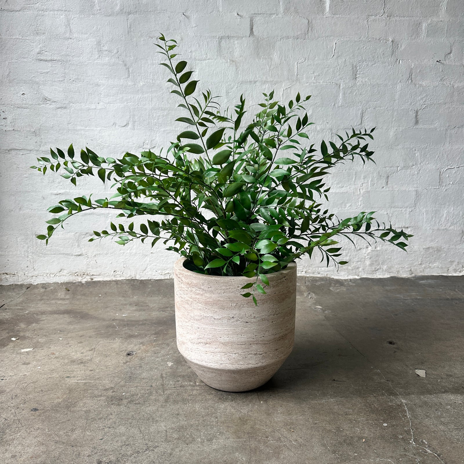 Artificial Ruscus Bush Plant