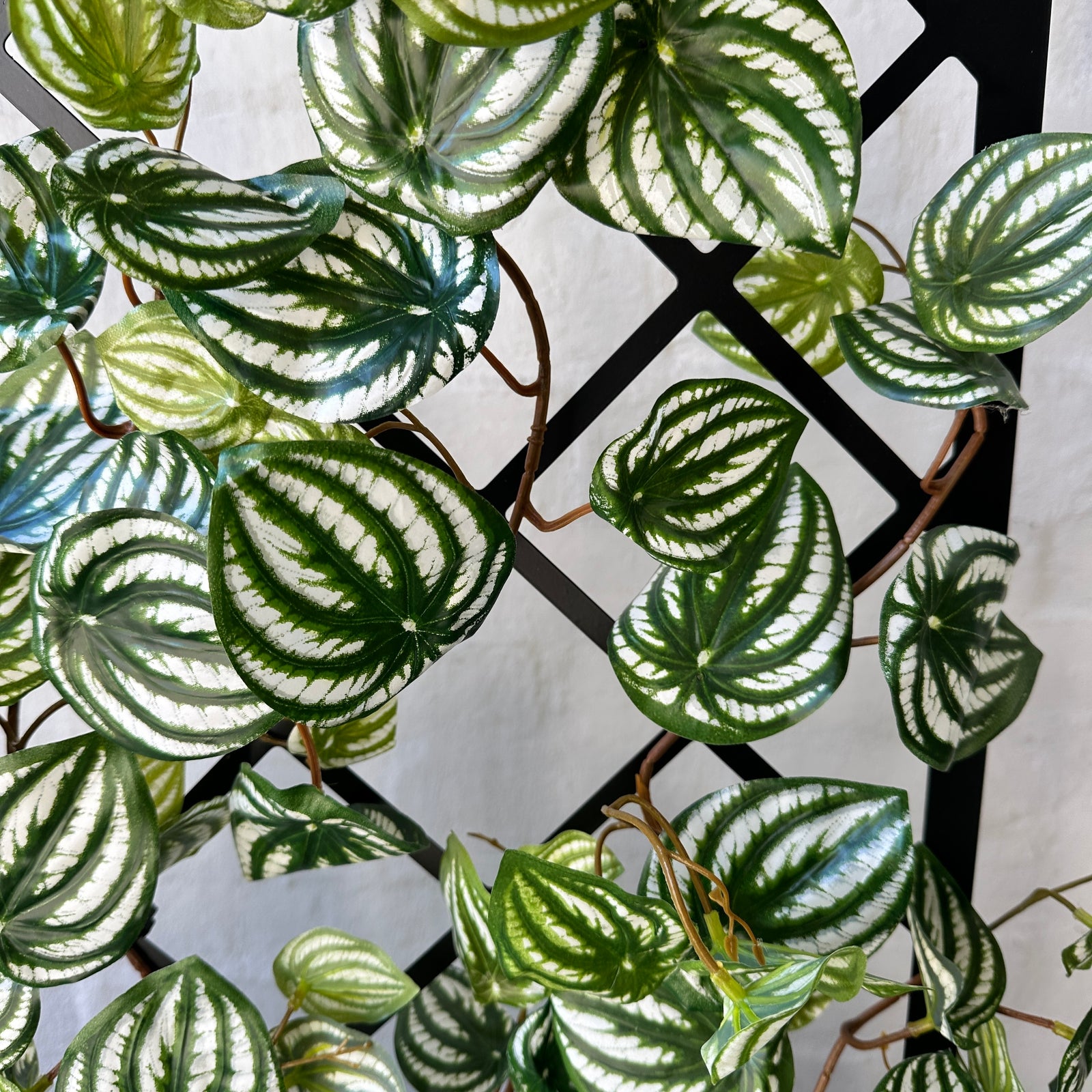 Artificial Green Trellis