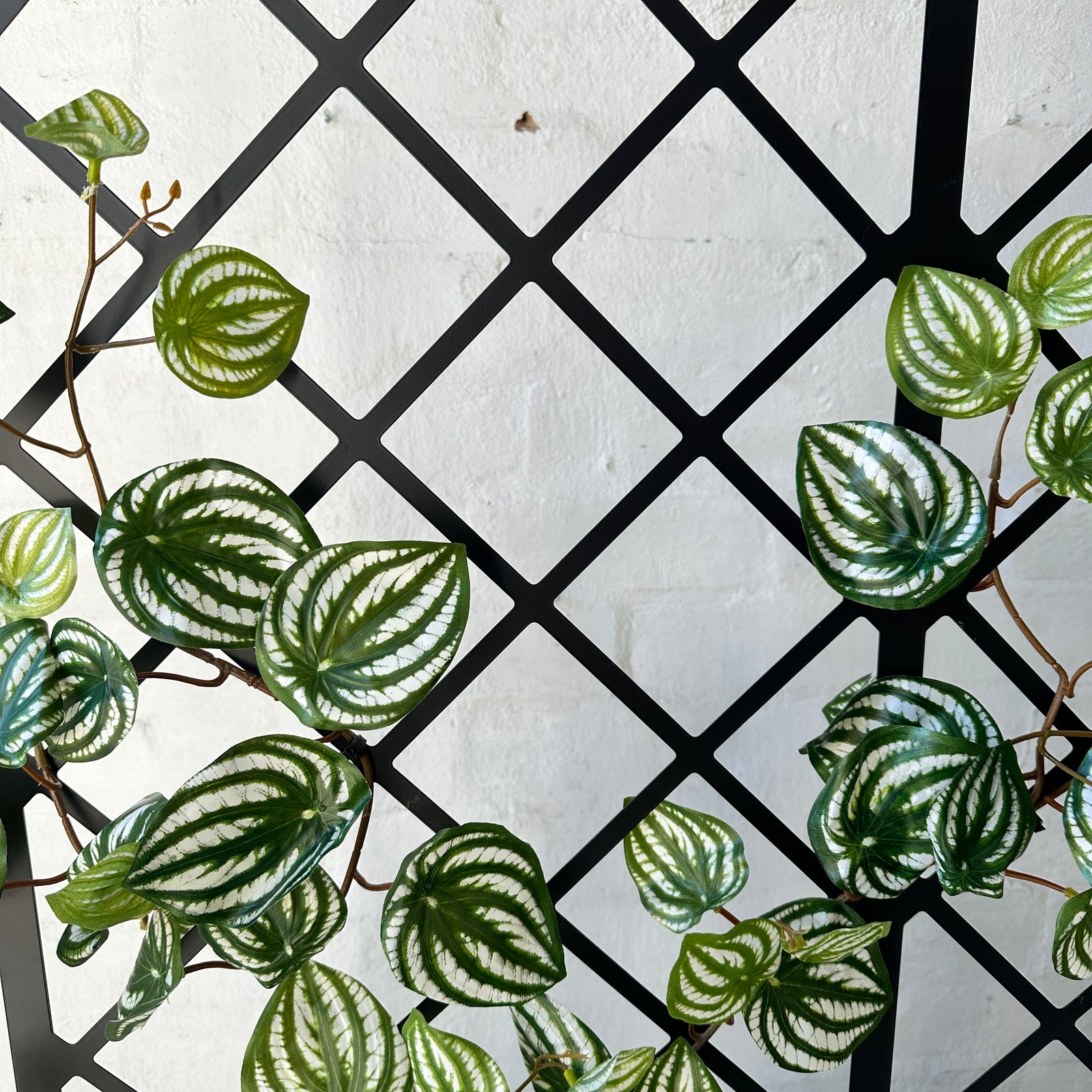 Artificial Green Trellis