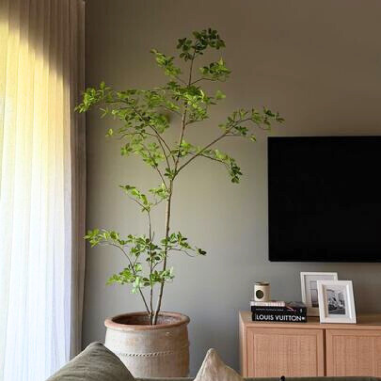 Artificial Fine Jasmine Tree