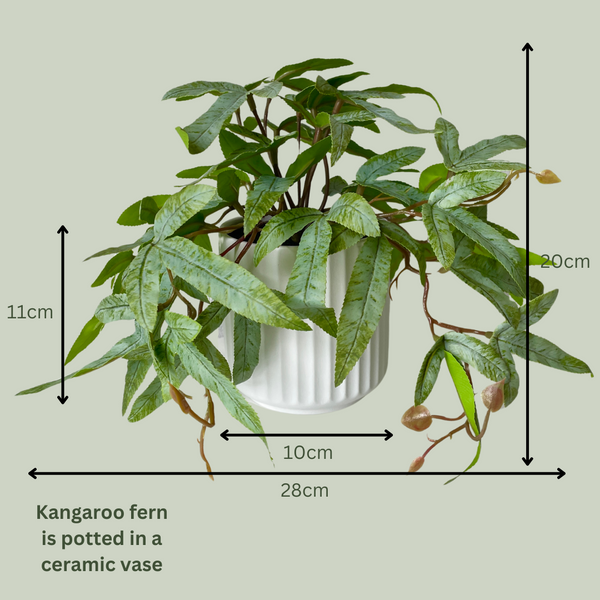 Artificial Kangaroo Fern