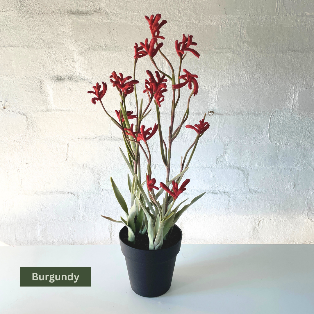 Artificial Kangaroo Paw
