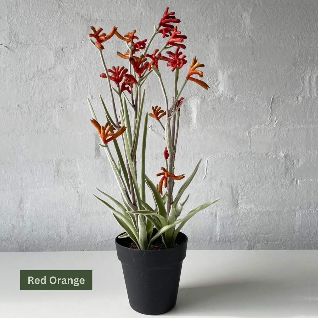 Artificial Kangaroo Paw