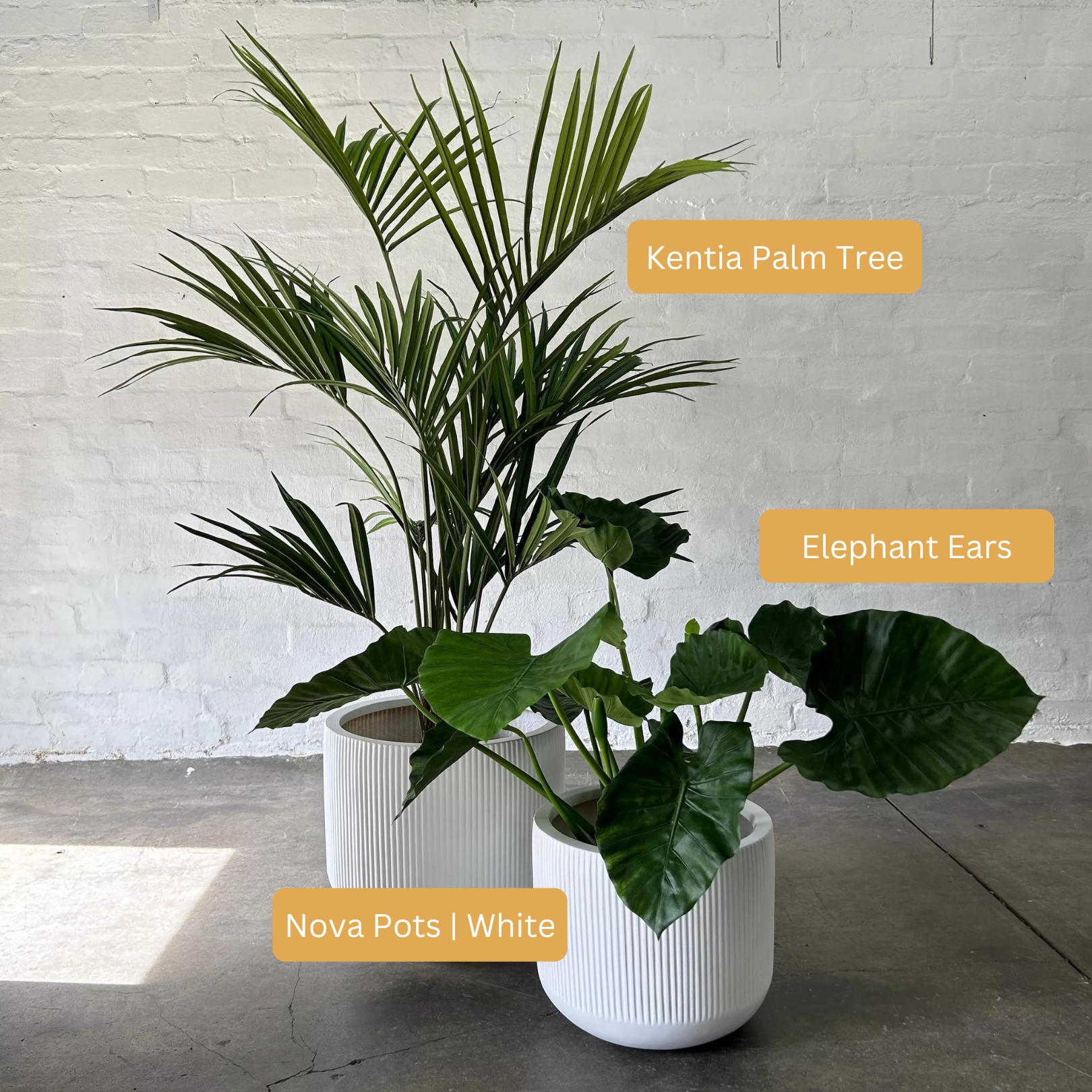 Artificial Elephant Ear Plant