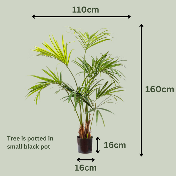 Artificial Kentia Palm Tree