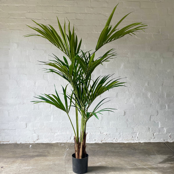 Artificial Kentia Palm Tree