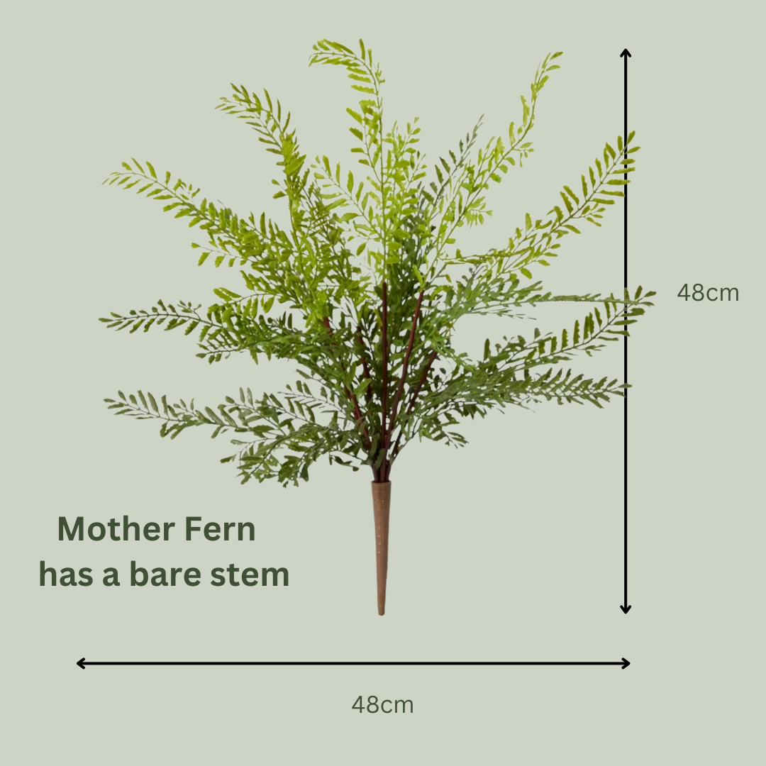 Artificial Mother Fern | Outdoor