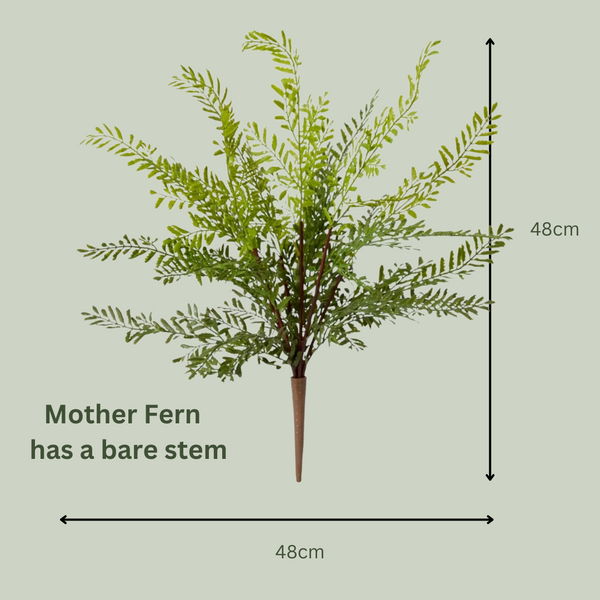 Artificial Mother Fern | Outdoor