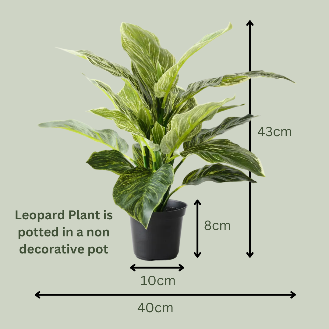 Artificial Leopard Plant