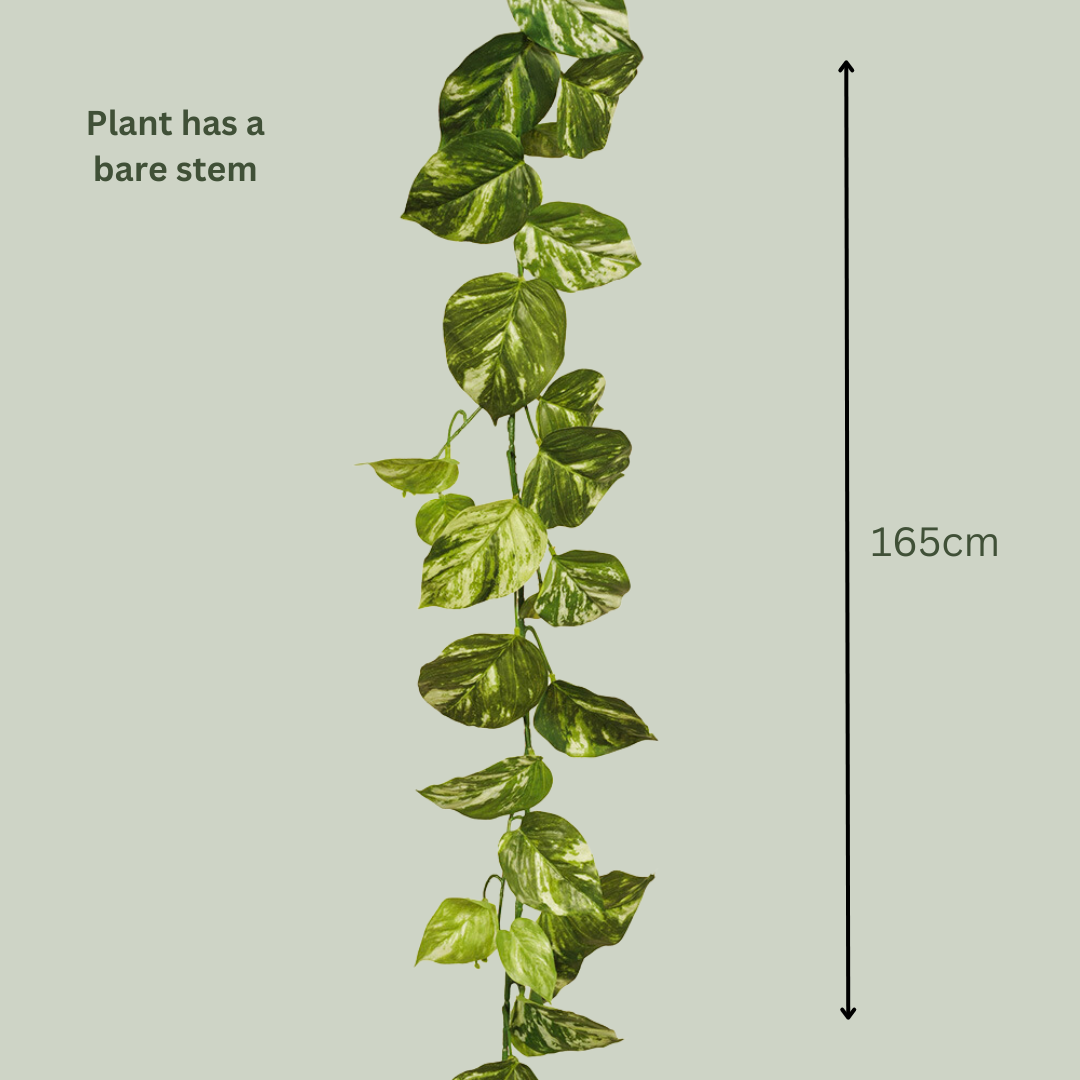 Artificial Marble Pothos Vine