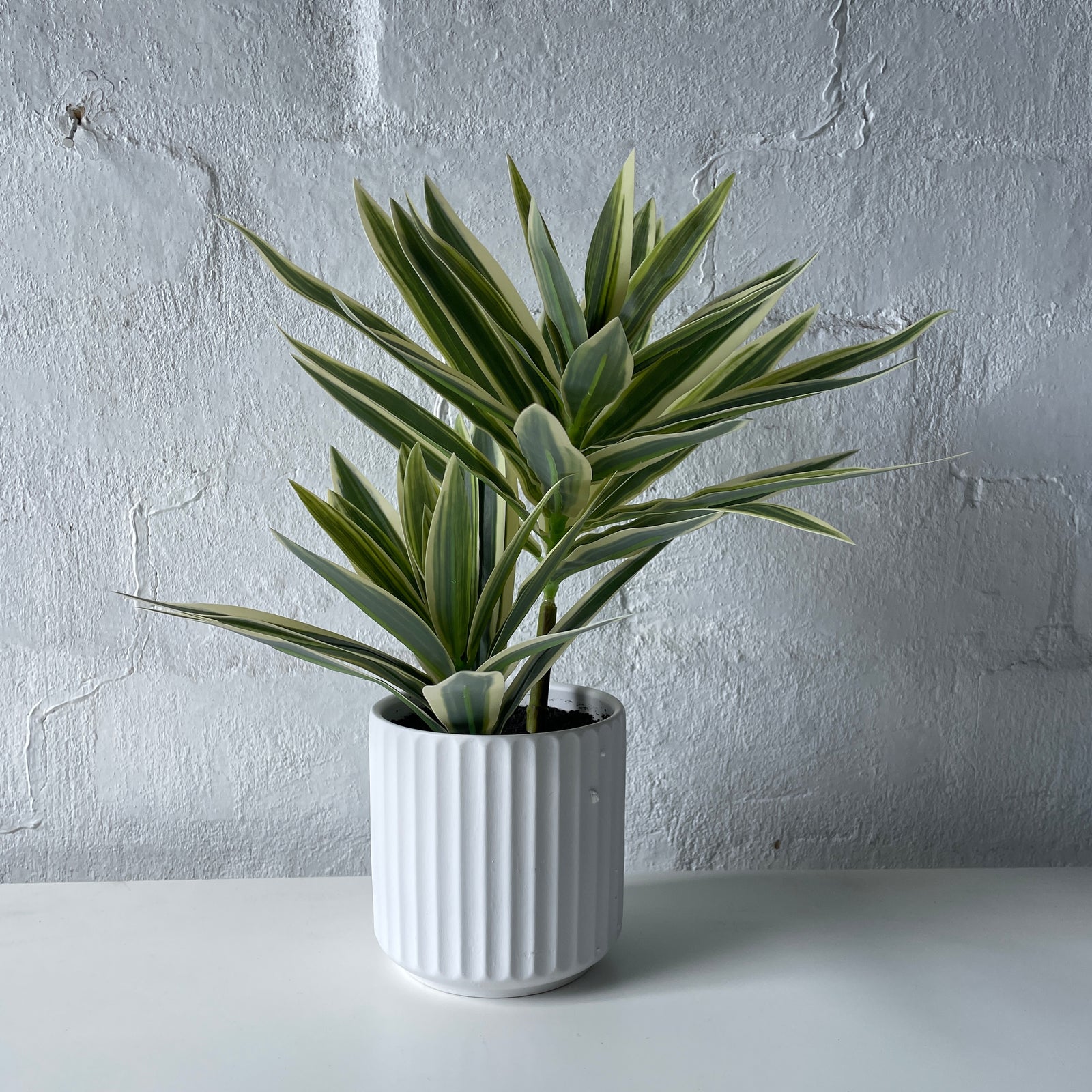 Artificial Mini Variegated Yucca