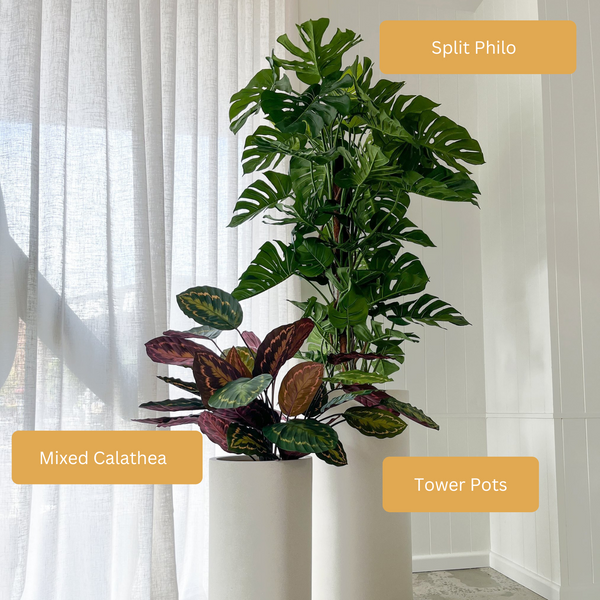 Artificial Calathea | Mixed Leaves