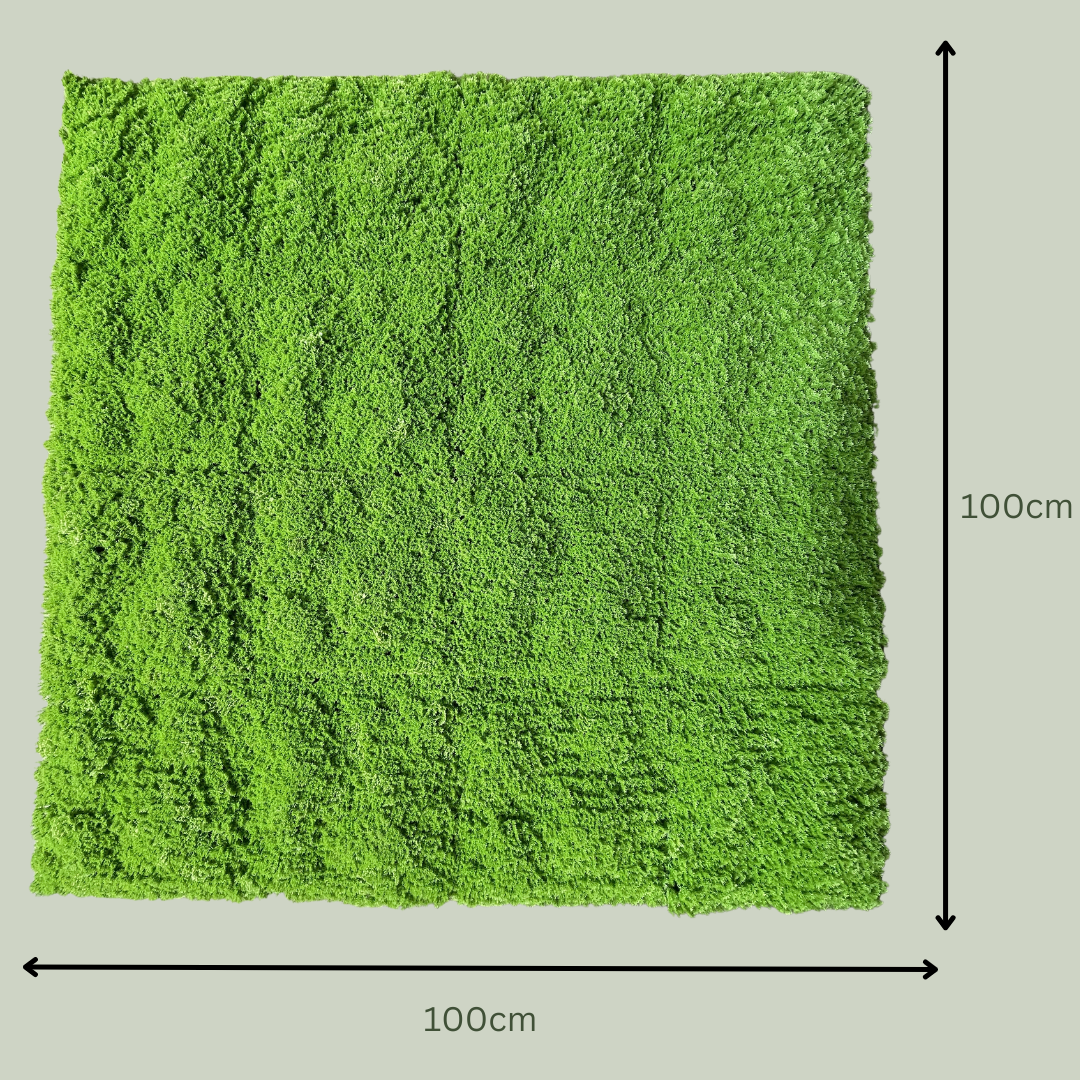 Artificial Moss Square Garden | Outdoor