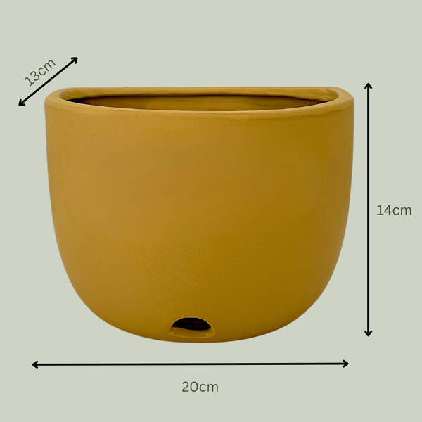 Mustard Scoop Wall Planter