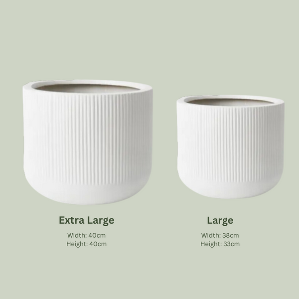 Lightweight Nova Pot | White