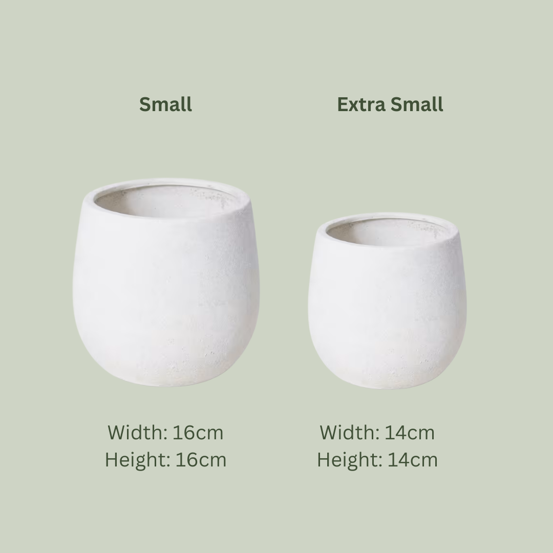 Sansa Pot | Stone White