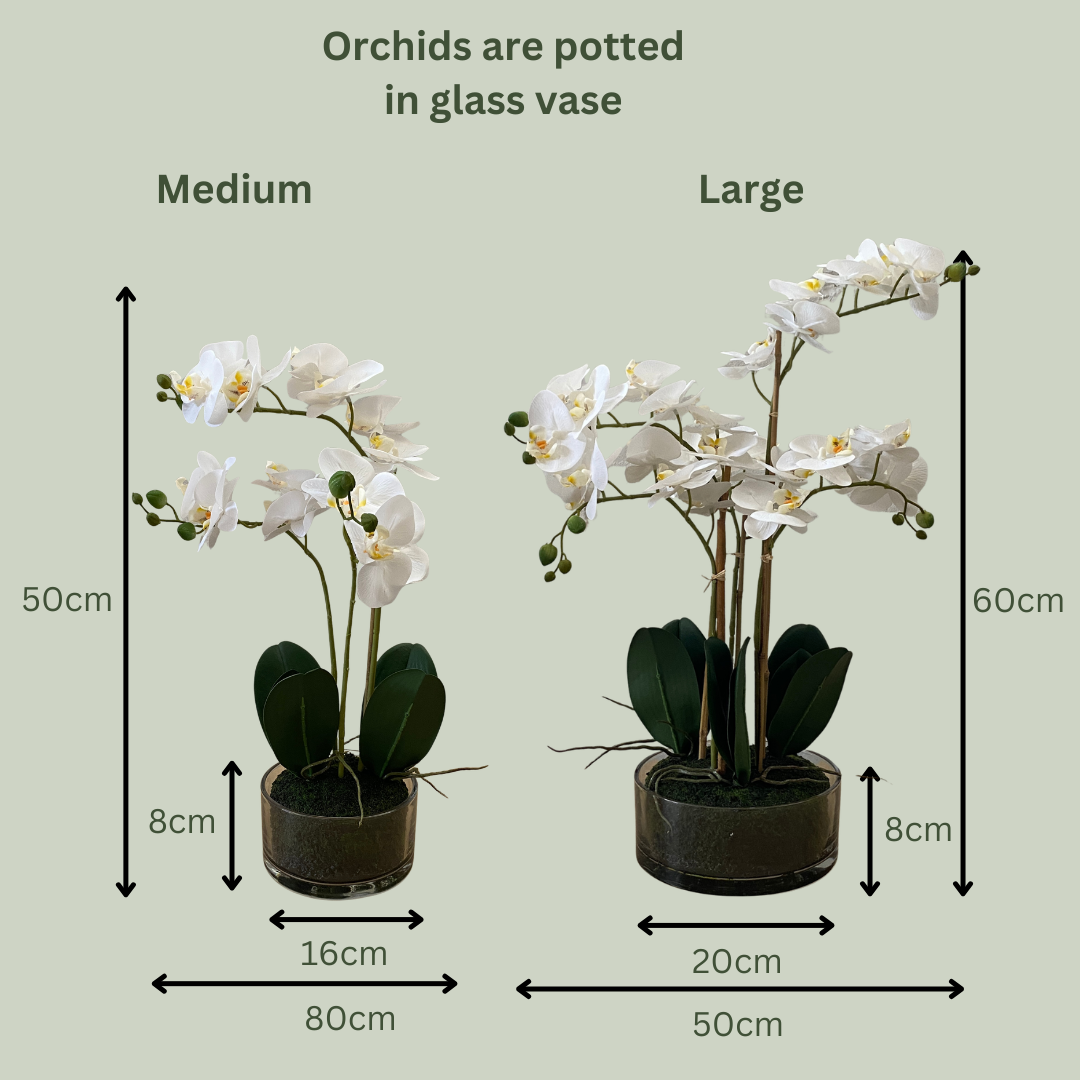 Artificial Orchid | Glass Bowl
