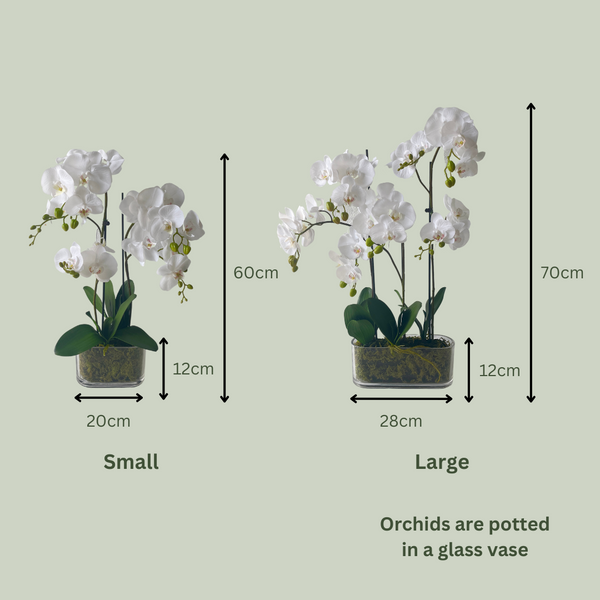 Artificial Large Orchid | White