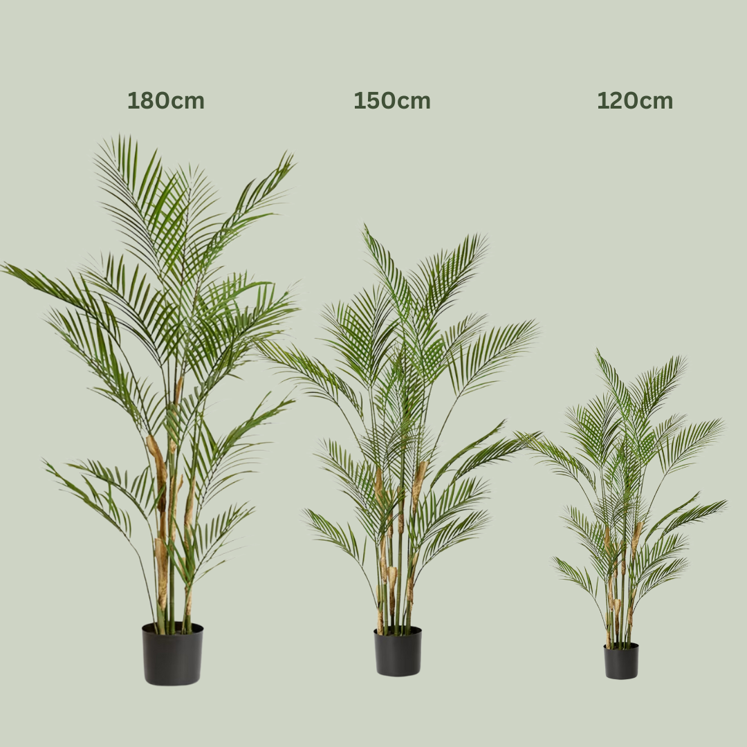 areca palm phoenix Artificial Areca Palm