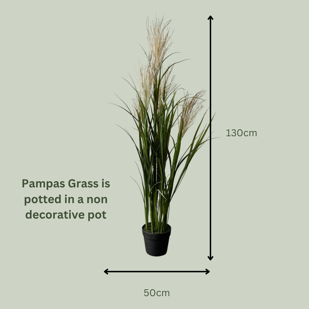 Artificial Pampas Grass Tree | Brown