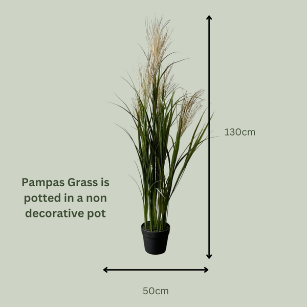 Artificial Pampas Grass Tree | Brown