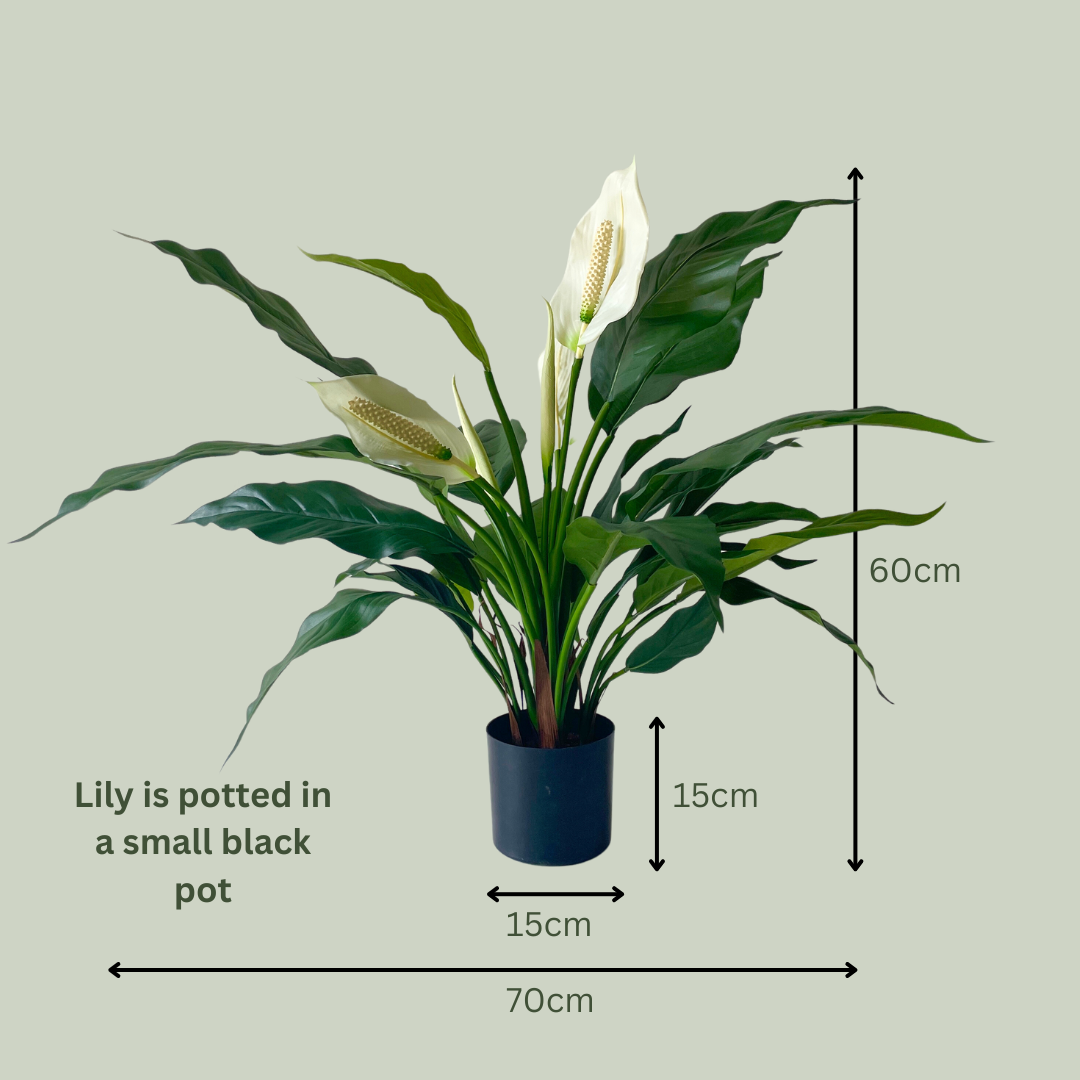 small artificial peace lily plant Artificial Peace Lily Plant