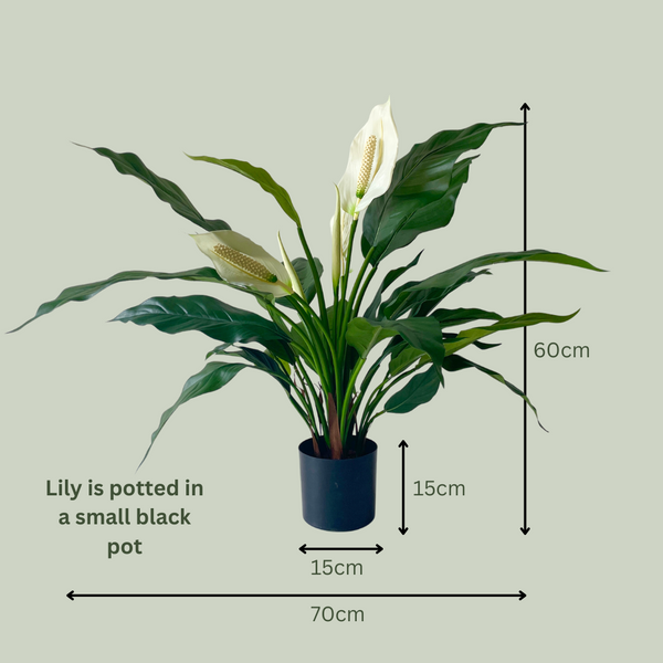 Artificial Peace Lily