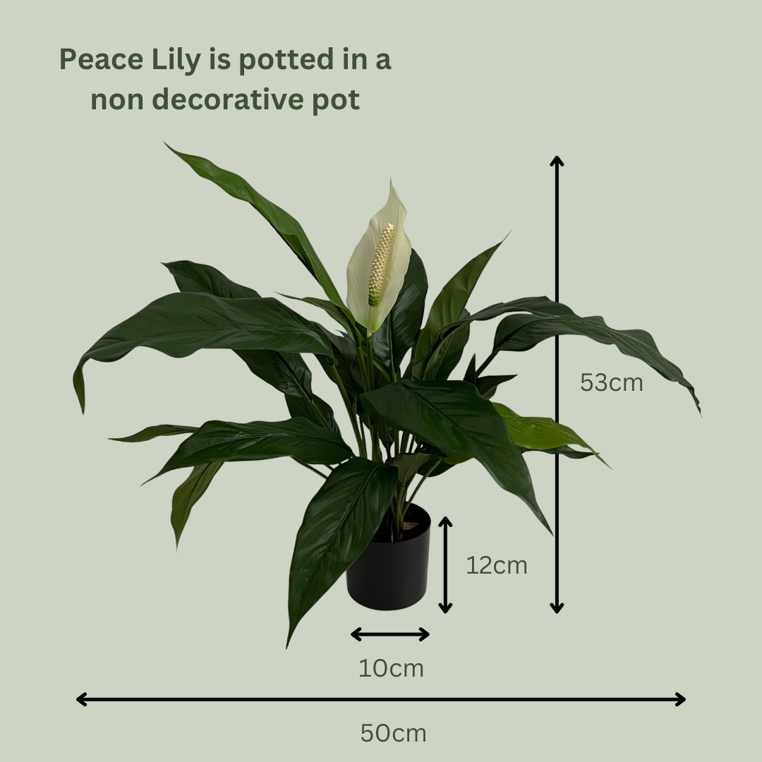 Artificial Peace Lily