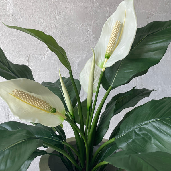 Artificial Peace Lily