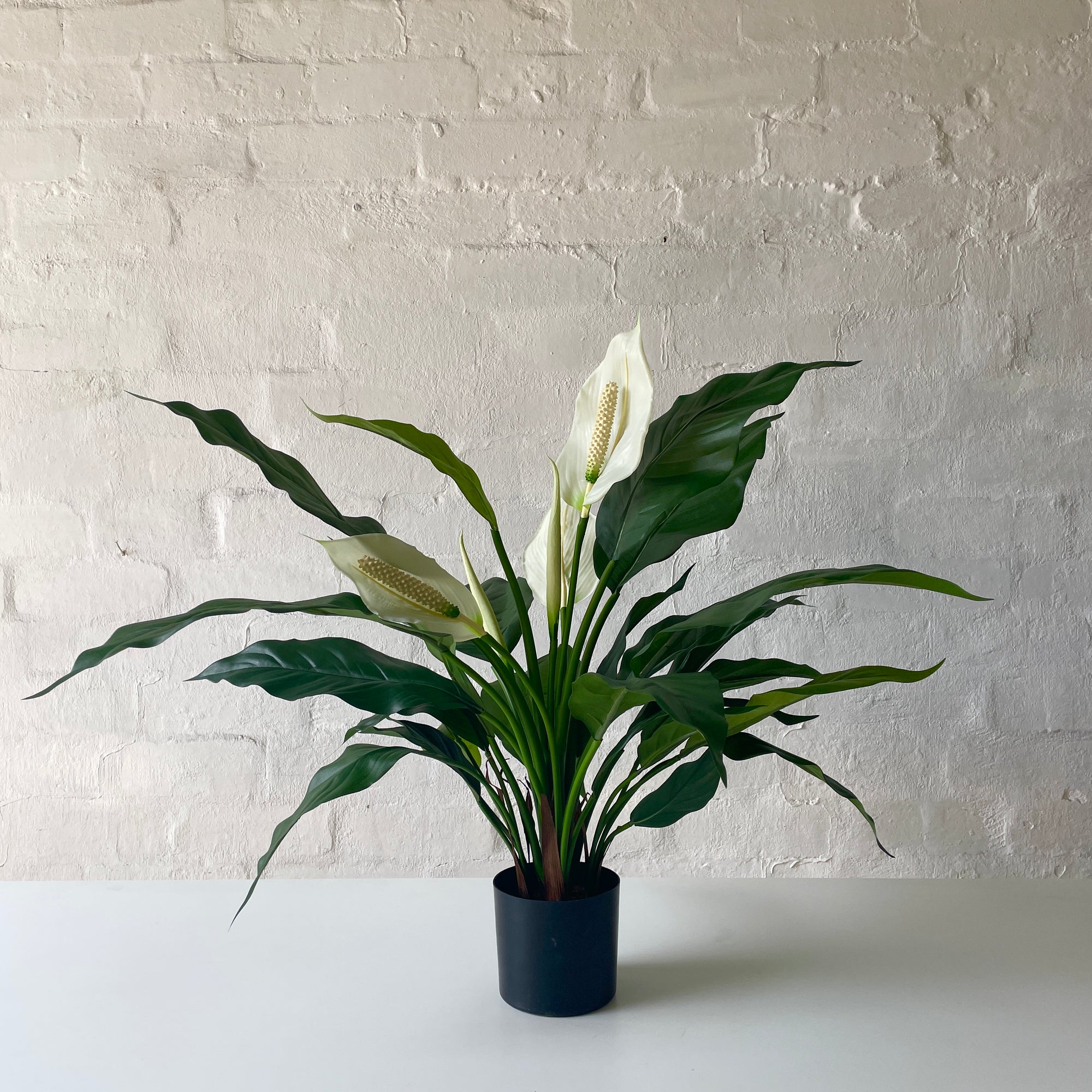 peace lily fake Artificial Peace Lily Plant