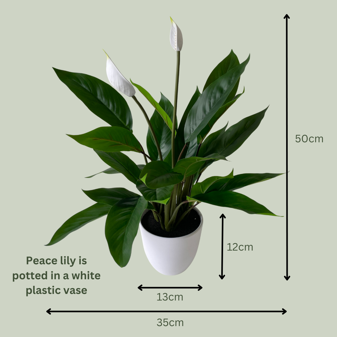 plastic peace lily Artificial Peace Lily